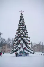 Светодинамическая елка ствольная - встроенная гирлянда: Холодный свет - "Таежная" от 11 до 21 м