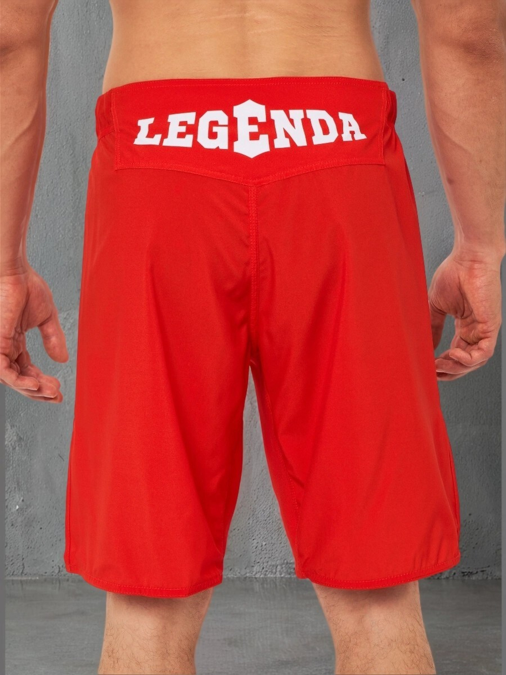 Шорты спортивные ММА Legenda Рать, красные
