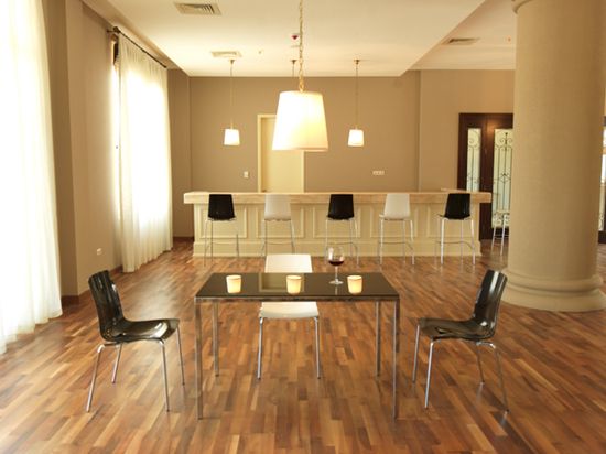 Стул серый прозрачный X-Treme S