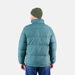  Пуховик мужской Dickies Waldenburg Jacket артикул:DK0A4XP20LN1 - купить в магазине Дайс