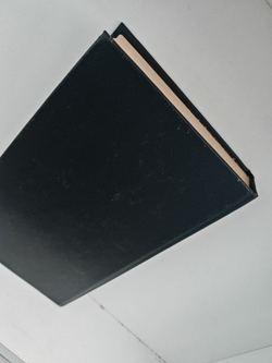 Имя розы: роман