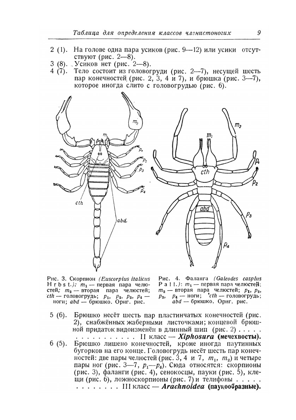 Руководство к практическим занятиям по общей энтомологии | Н.Н. Богданов-Катьков