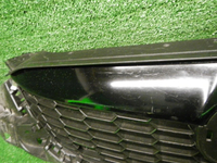 DSCN9556.JPG