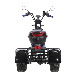Электроскутер CityCoco SKYBOARD BR40-3000 OFF-ROAD Trike