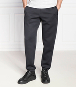 спортивные штаны EA7 - серый(6LPP58 PJHFZ)