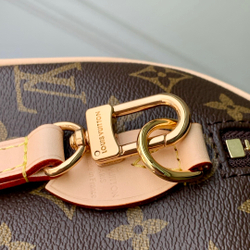 Louis Vuitton Speedy 20