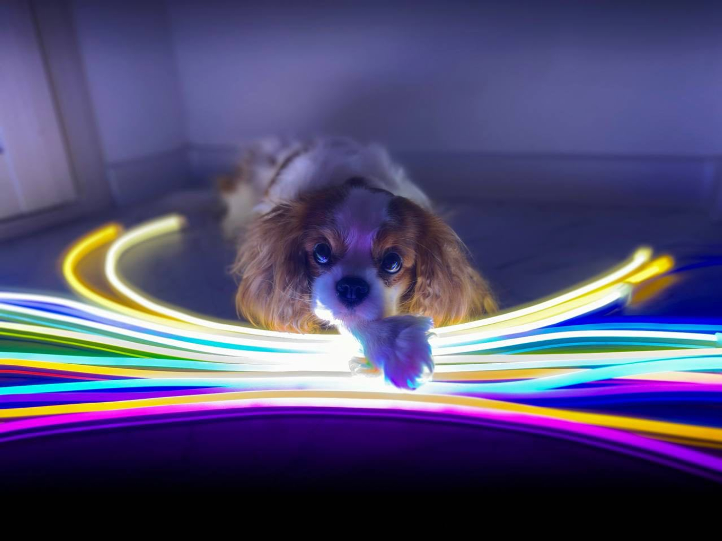 Наше производство