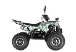 Квадроцикл Wels Thunder EVO X 125 зеленый