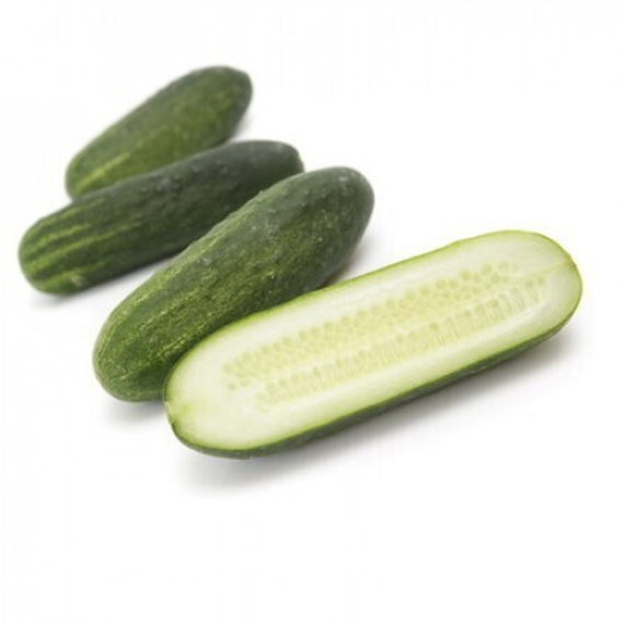 БЕРНШТАЙН F1 семена огурца Rijk Zwaan цена – фото 2