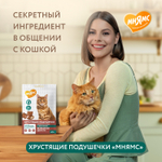 МНЯМС Лакомство "Выведение шерсти" хрустящие подушечки для кошек с цыпленком, 60 г