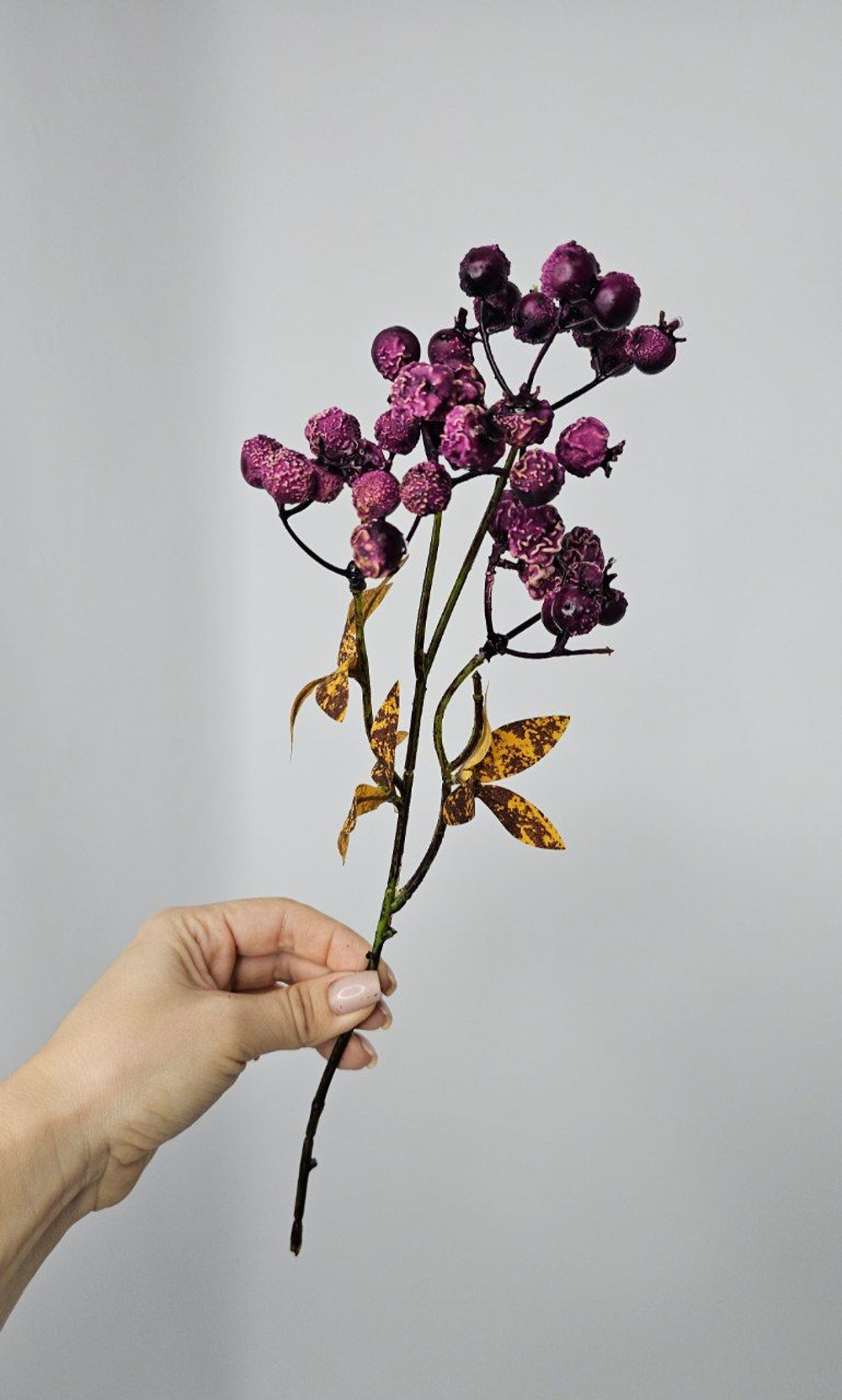 Ягоды / Арт 8052