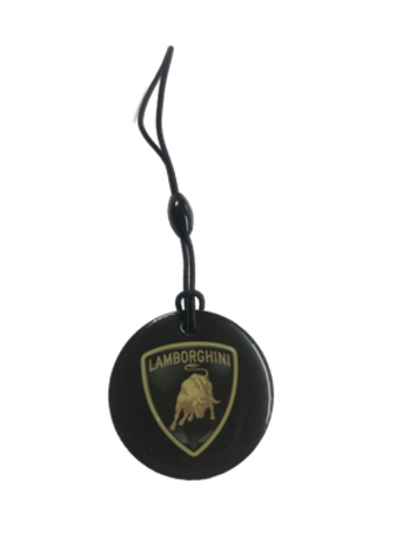 Заготовка домофонная EPOXY чип Н5.5 LAMBORGHINI (на резинке)