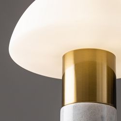 Настольная лампа декоративная Freya Marfil FR5285TL-01BS