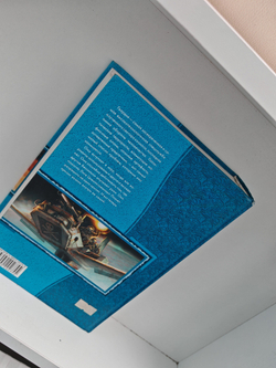 Гвардия. Хроника Третьего Кризиса