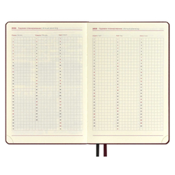 Ежедневник датированный 2025 ESCALADA, А5, 176 л.,