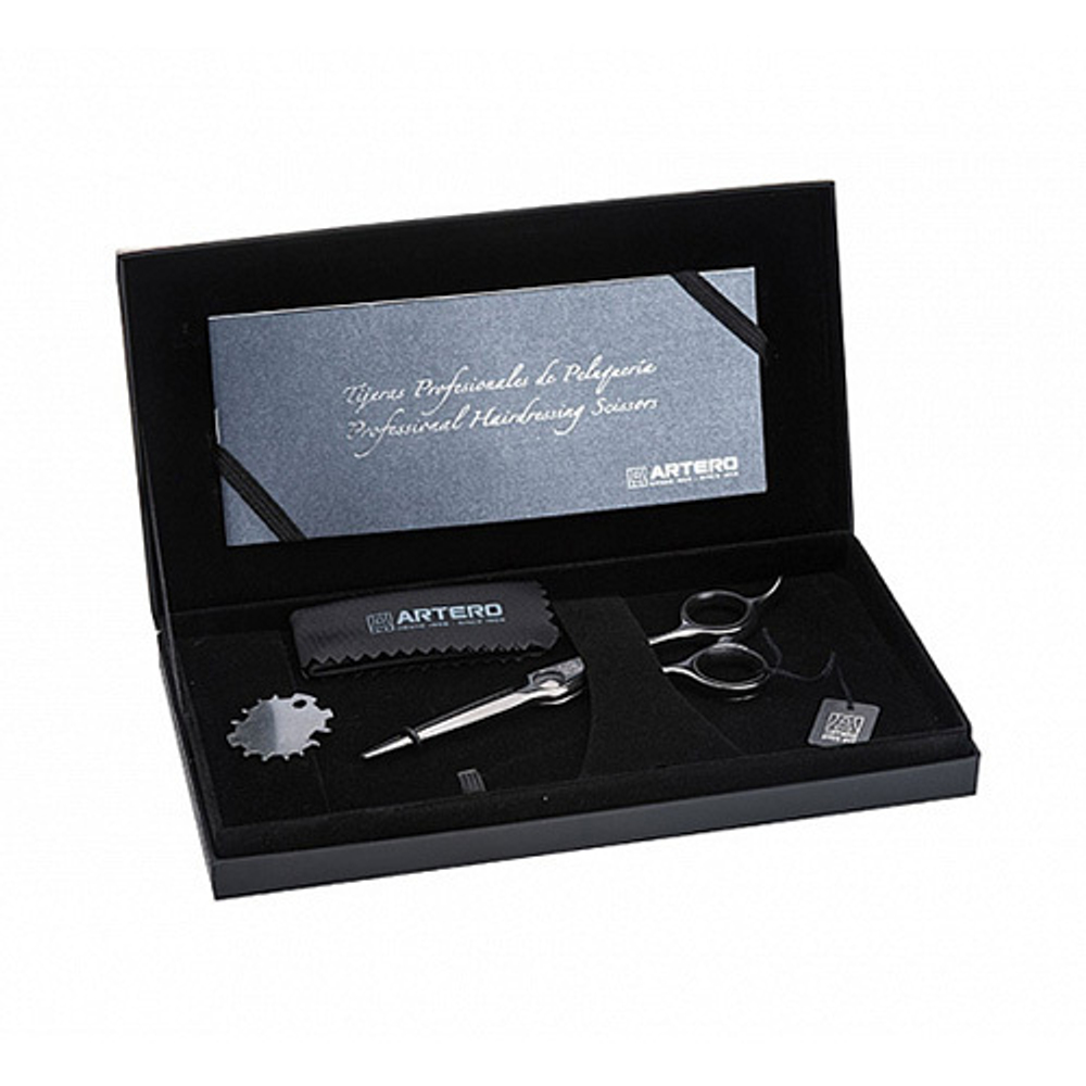 Ножницы парикмахерские для креативных стрижек, пойнтинга, слайсинга 6.0" Artero Evo Titanium T44860