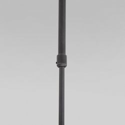 Светильник на штанге Eurosvet Pacific 50255/1 титан