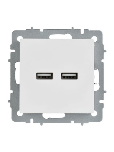 Розетка BRITE РЮ10-1-БрАБ USB A+A 3.1А механизм арктич. бел. IEK BR-U21-D31-K91