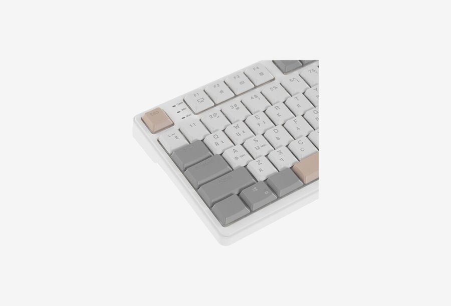6977576550663_0426709105657