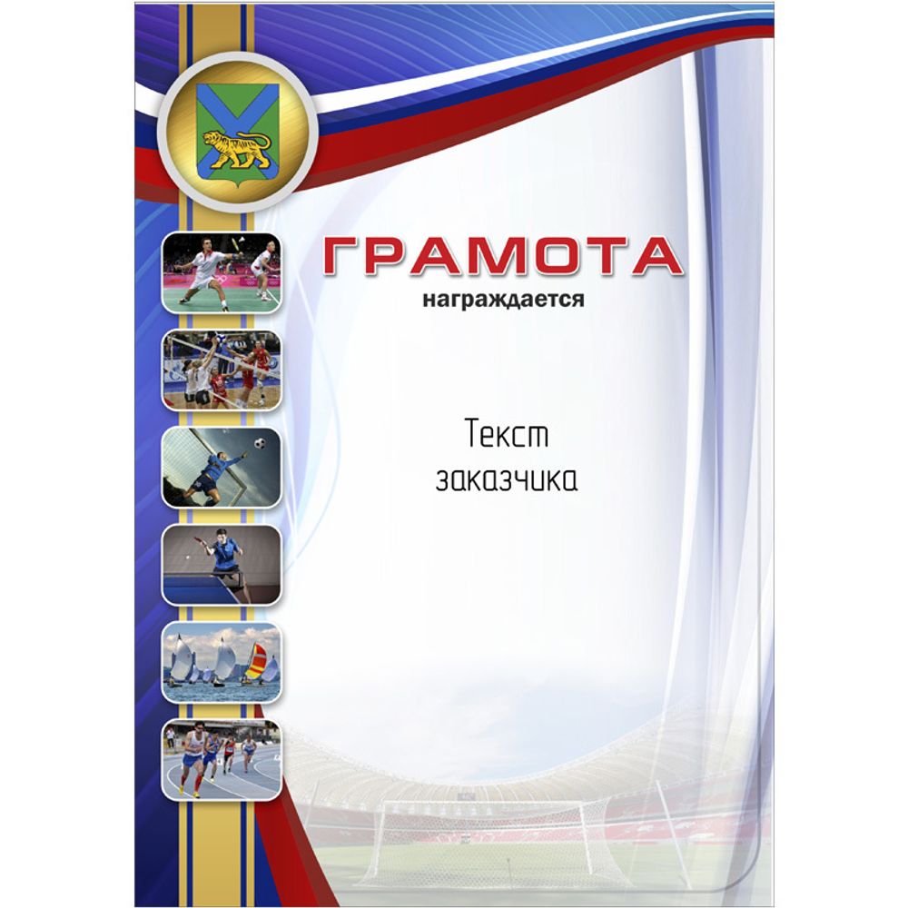 PNDiploma-010 с текстом