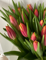 Букет из 25 розово-жёлтых тюльпанов