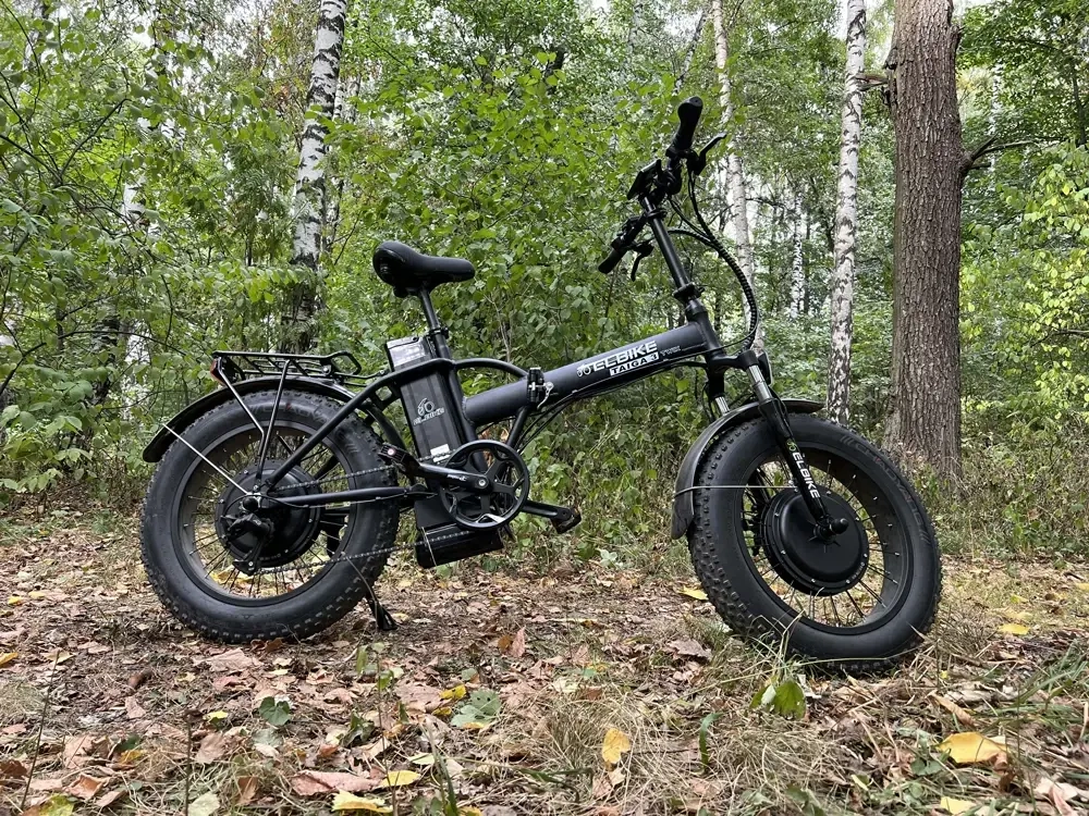 Электрофэтбайк Elbike Taiga 3 Twix (Черный)