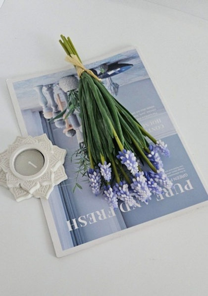 Мускари / Арт 2057