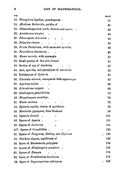 Fungi | Miles Joseph Berkeley
