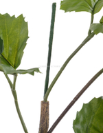 Тетрастигма ветвь де Люкс интерьерная (с крепежным элементом)