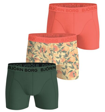 Мужские спортивные боксеры Björn Borg Cotton Stretch 3P - multicolor