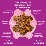 Корм влажный Рагу Ягненок для котят от 1 мес, 75г  Whiskas
