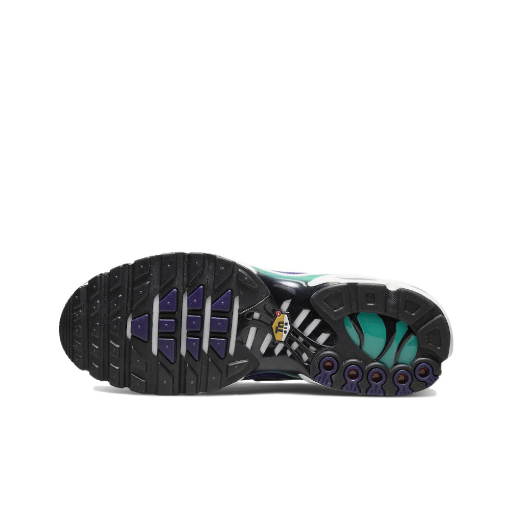 Мужские кроссовки Nike Air Max Plus 'Grape' DM0032‑100
