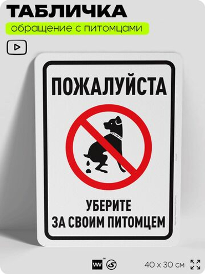 Табличка "Уберите за своим питомцем" на дверь и забор, для двора, дома, подъезда, 40х30 см, Silver Plane x Айдентика Технолоджи