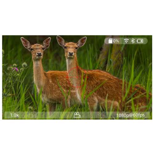 Прицел цифровой Veber DigitalHunt R32X3-24 FHD ночной