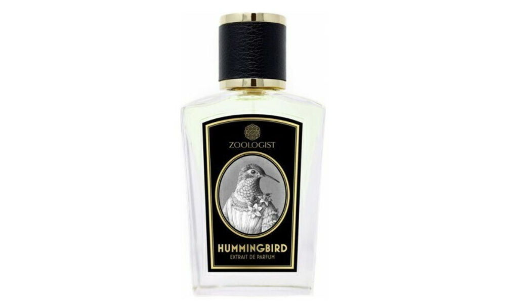 Zoologist Hummingbird