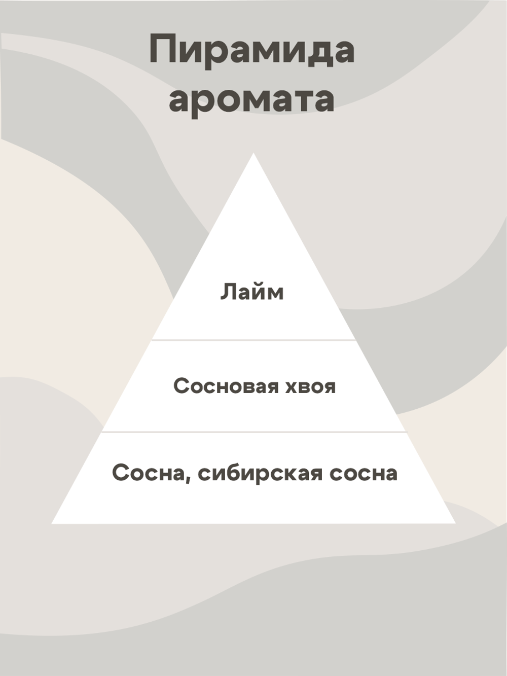 Отдушка - Хвойный лес