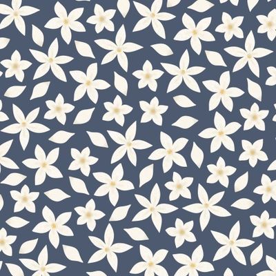 Белые цветы и лепестки жасмина на тёмном синем фоне