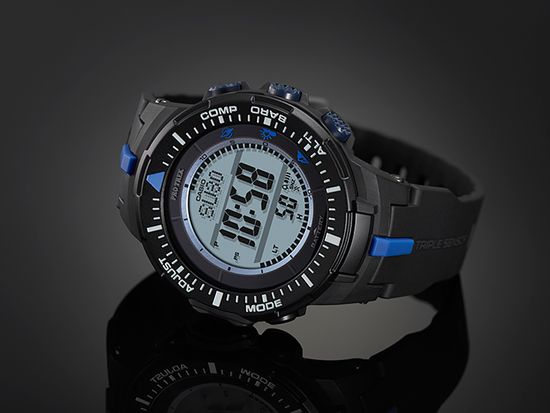Наручные часы Casio PRG-300-1A2DR
