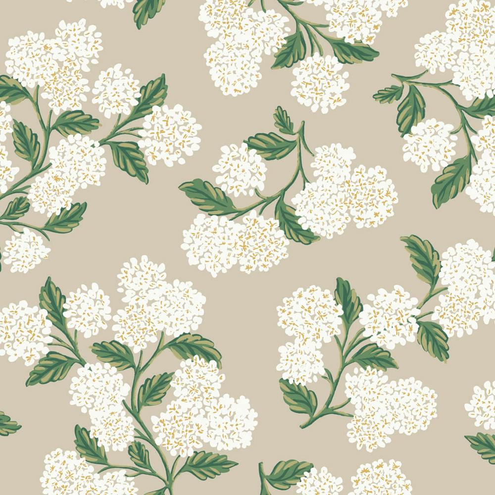 Rifle Paper Co. Second Edition