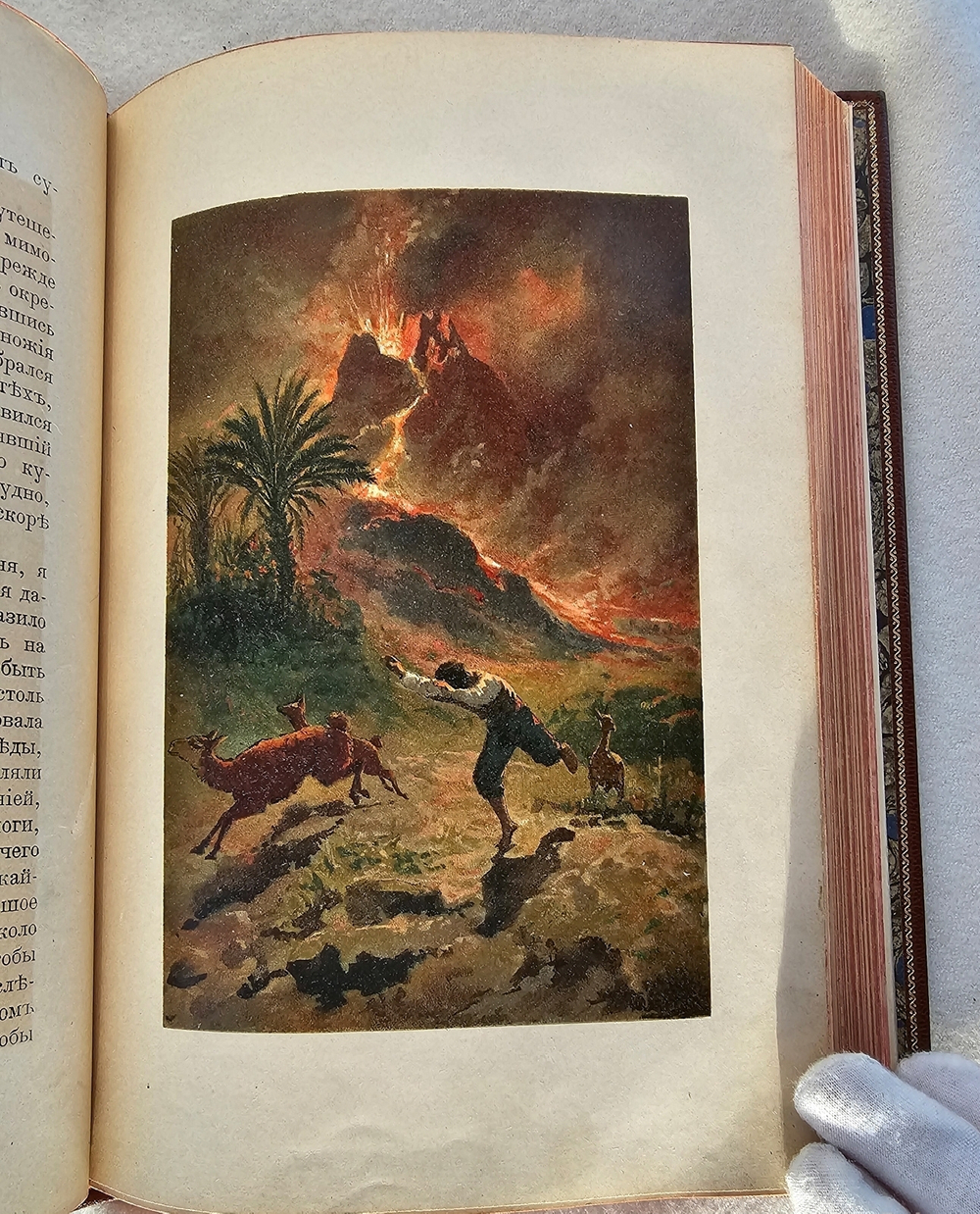 "Путешествия и удивительные приключения Робинзона Крузо". Даниель Дефо. 1902 г.