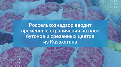 Россельхознадзор вводит временные ограничения на ввоз бутонов и срезанных цветов из Казахстана