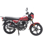 Мотоцикл Regulmoto SK200 с ПТС