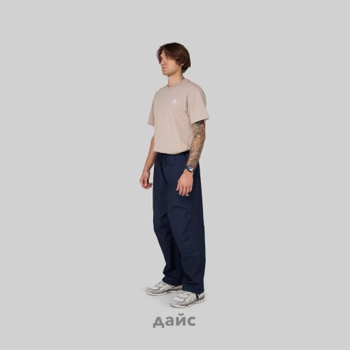 Брюки мужские Dickies Fishersville Pant артикул:DK0A4YSDDNX1 - купить в магазине Дайс