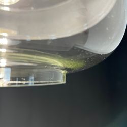 Подвесной светильник NORD D D25 Gray/Transparent