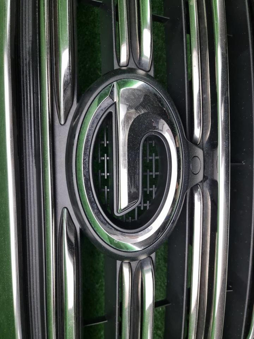 Решетка радиатора GAC GN8 (2019-2023)