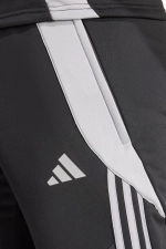 Штаны adidas Tiro 24 Winterized - черный