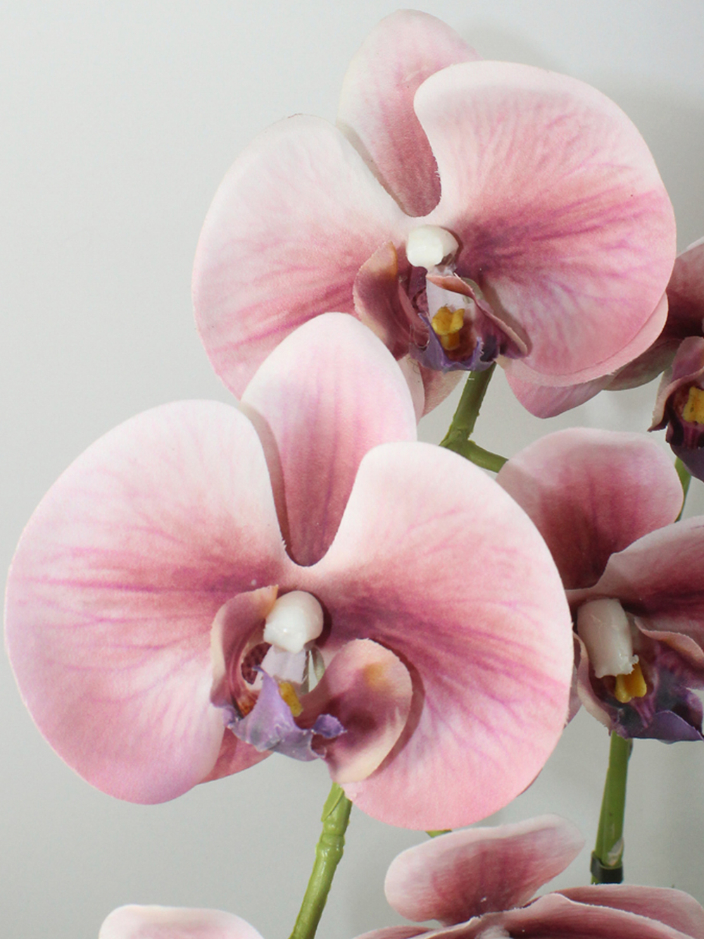 Искусственные Орхидеи темно-пудровые 2 ветки 55см в кашпо