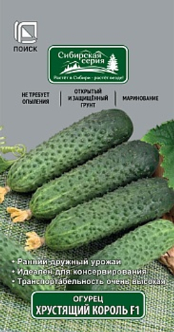 Огурец Хрустящий король 12шт Ц Поиск