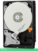 Жесткий диск WD 1TB WD10PURZ