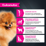 Eukanuba паучи для взрослых собак с говядиной 100 г